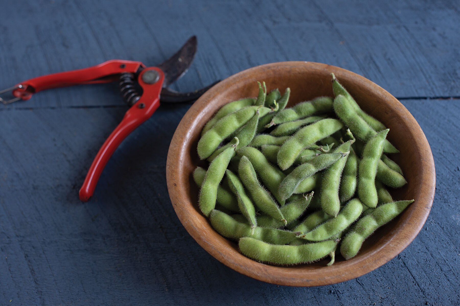Chiba Green Soybeans