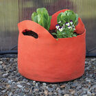 Smart Pot® Vivid Color, Mandarin Orange – 7 Gal. Grow Bags