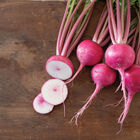Hirosaki Red Turnips