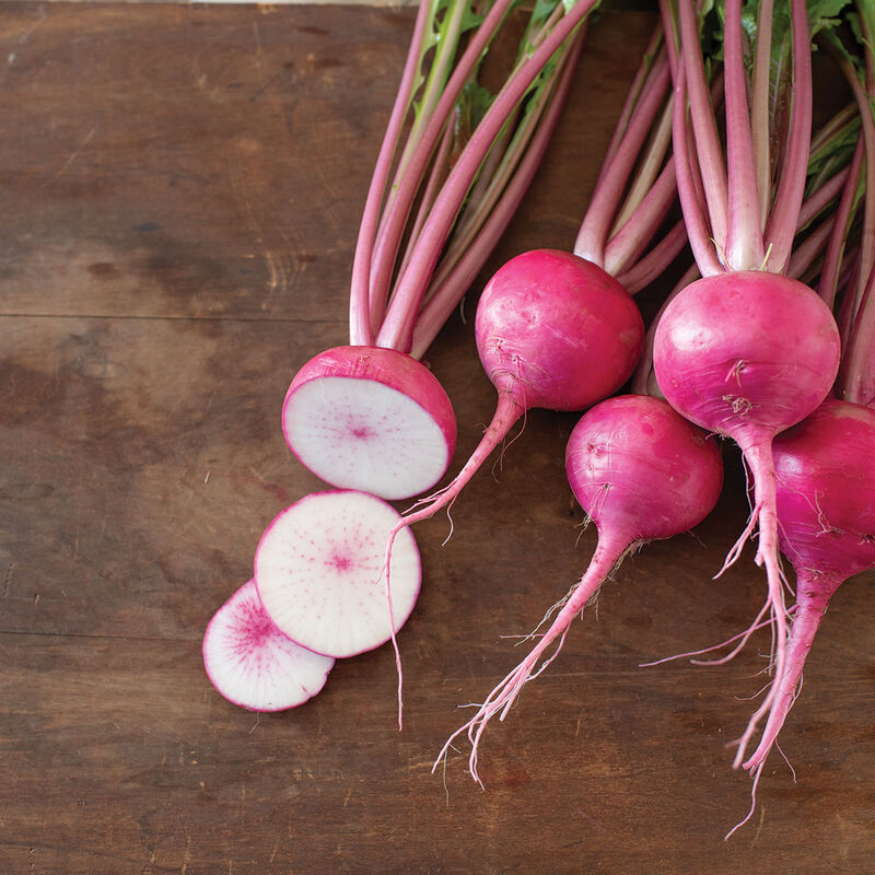 Hirosaki Red Turnips