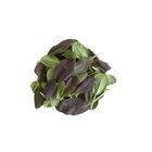 Rosie Asian Greens