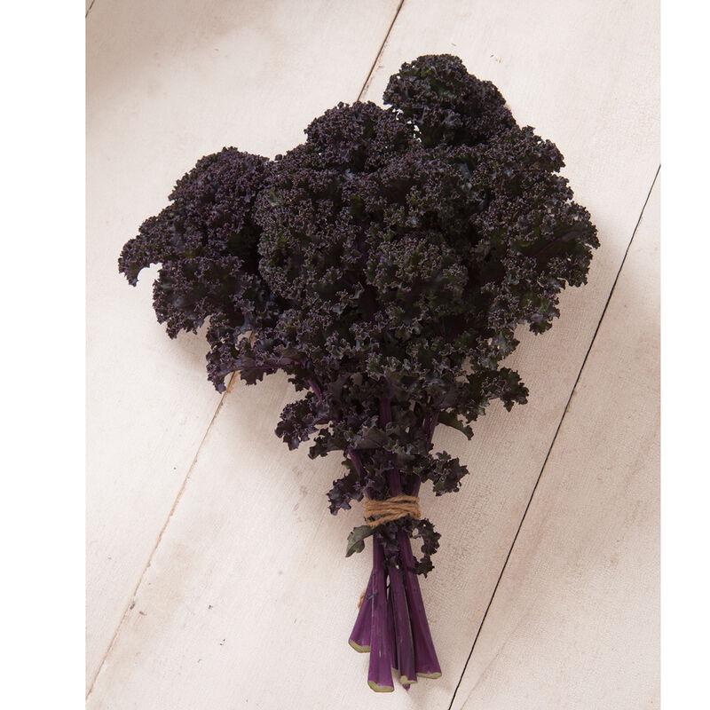 Redbor Redbor Kale