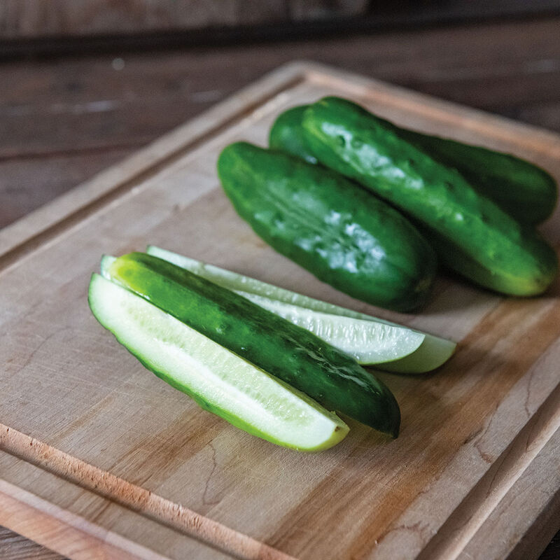 Chaperon Pickling Cucumbers