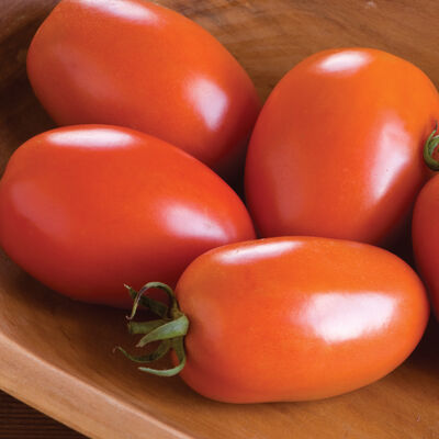 Amish Paste Amish Paste Paste Tomatoes