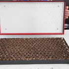 Seed Plate E264 Vacuum