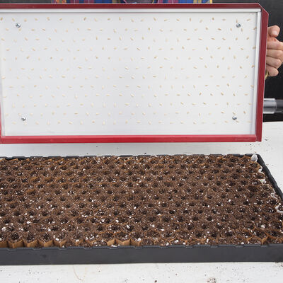 Seed Plate E264 Vacuum