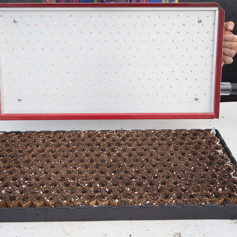 Seed Plate E264 Vacuum