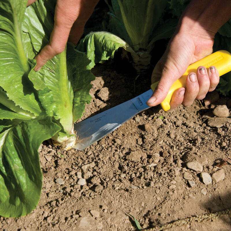 Fox Run Plastic Lettuce Knife