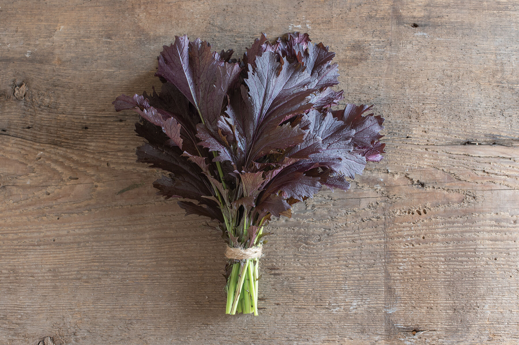 Miz America Mustard Greens