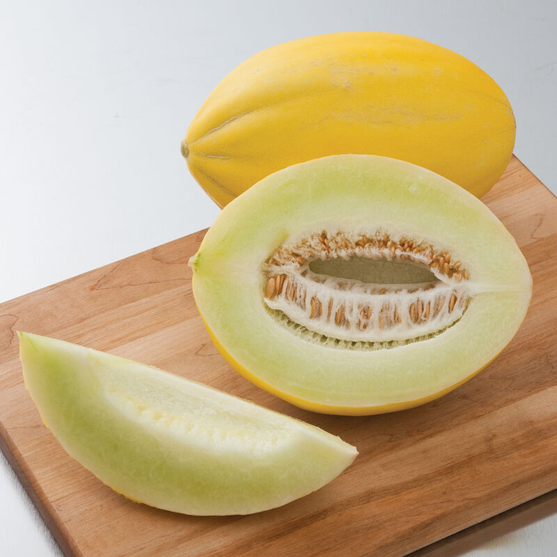 Brilliant Brilliant Canary Melons