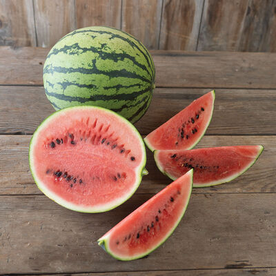 Starlight Diploid Watermelons