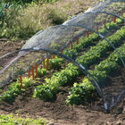 Knitted 30% Shade Cloth – 10' x 100' Shade Cloth