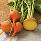 Boldor Round Beets