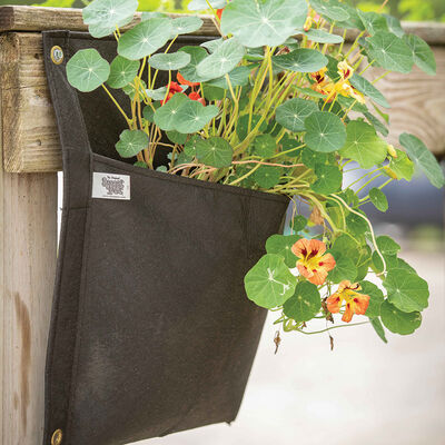 Wall Flower Hanging Planter – Single Bag Grow Bags