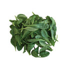 Toscano Kale