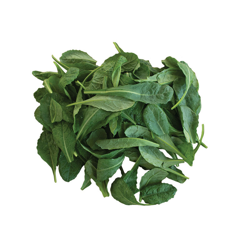Toscano Kale