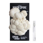 Lion's Mane 'Spray & Grow' Kit 'Spray & Grow' Kits