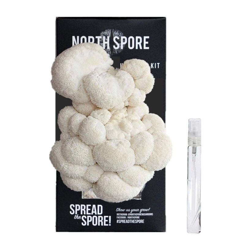 Lion's Mane 'Spray & Grow' Kit Mushrooms