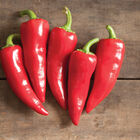 Flaming Flare Hot Peppers