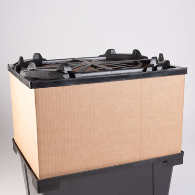 Valencia Collar &ndash; 9" Valencia Series