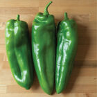 Spitfire Hot Peppers