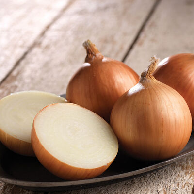 Outlander Full-Size Onions