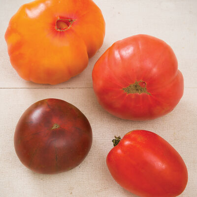 Heirloom Tomato Collection Heirloom Tomatoes