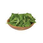 Arugula (Standard) Arugula (Roquette)