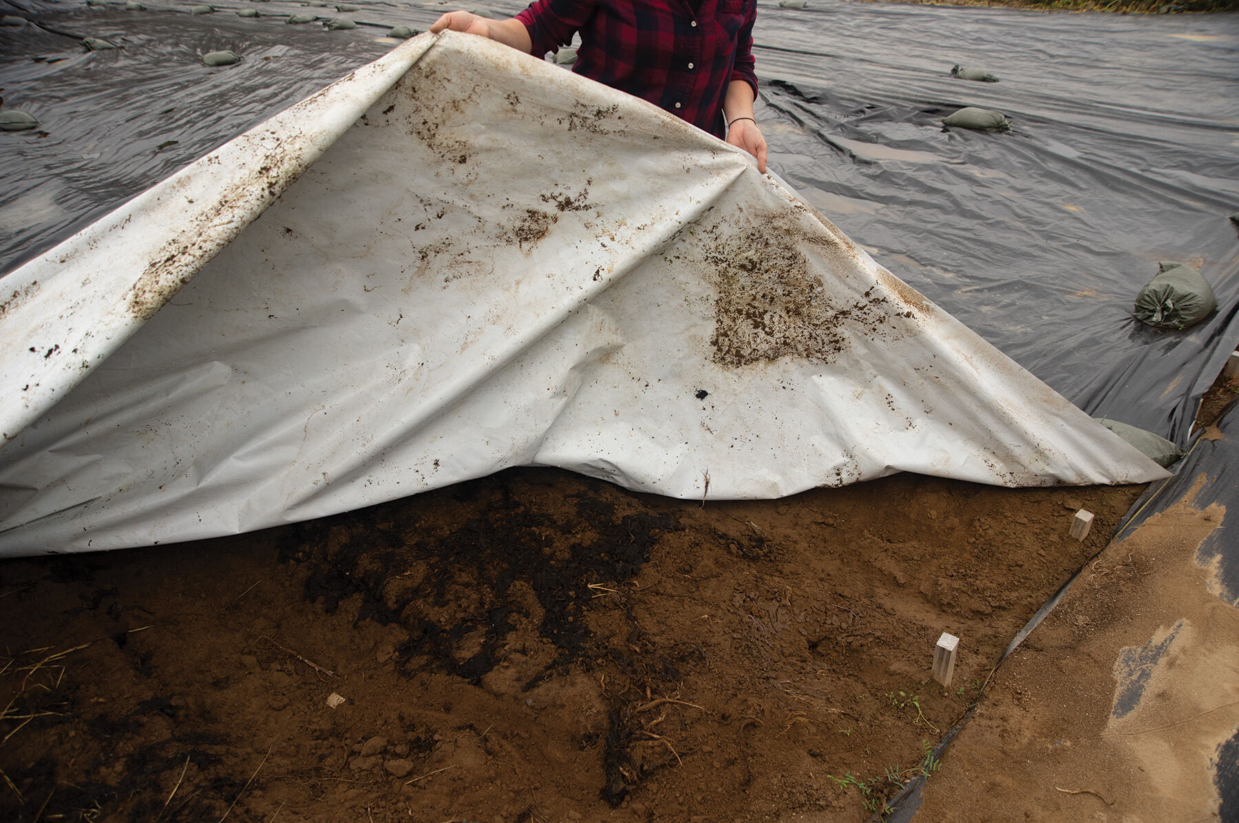 Silage Tarp 50 x 100 Johnny s Selected Seeds