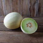 Flavor Journey Honeydew Melons