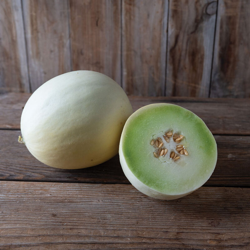 Flavor Journey Honeydew Melons