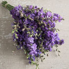 QIS™ Lilac Larkspur
