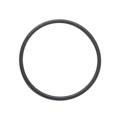 Replacement Belt Six-Row