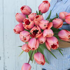 Apricot Impression Tulips