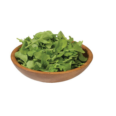 Roquette Lettuce Arugula Seeds - 100 Count Seed Pack - an Incredibly  Fast-Growing Cool Season Crop That adds a Fresh Spicy Kick to Salads and