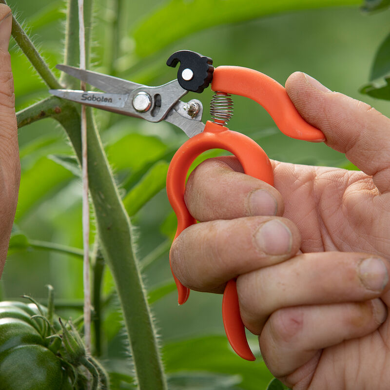 Pruner Shears For the Garden - Our Best Hand Pruners - Carbon Steel – The  Celtic Farm