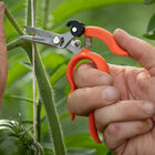 Hands-Free Pruning Shears – Stainless Steel Shears & Scissors