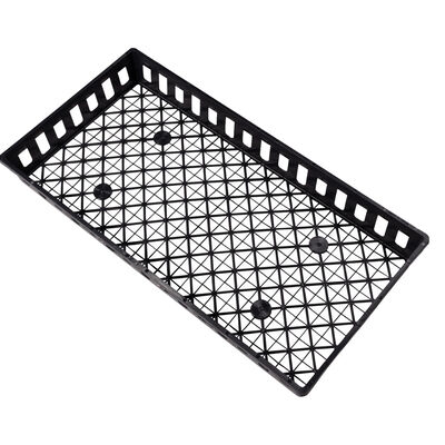 Lightweight Mesh Tray – 50 Count Support Trays