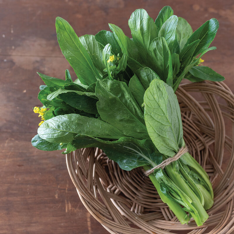 Green 70 D Improved Asian Greens