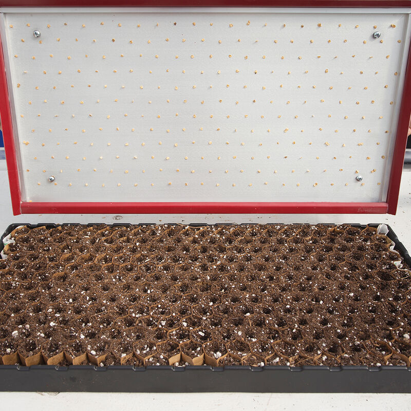 Seed Plate B264 Vacuum