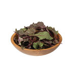 Bull's Blood Beet Greens