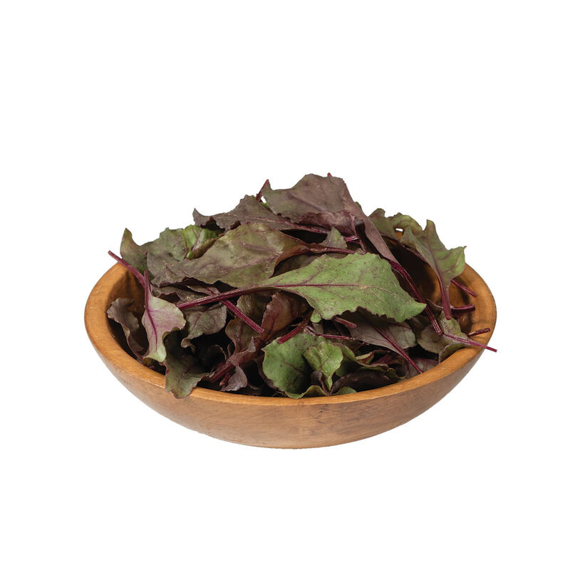 Bull's Blood Beet Greens