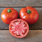 Contessa Beefsteak Tomatoes