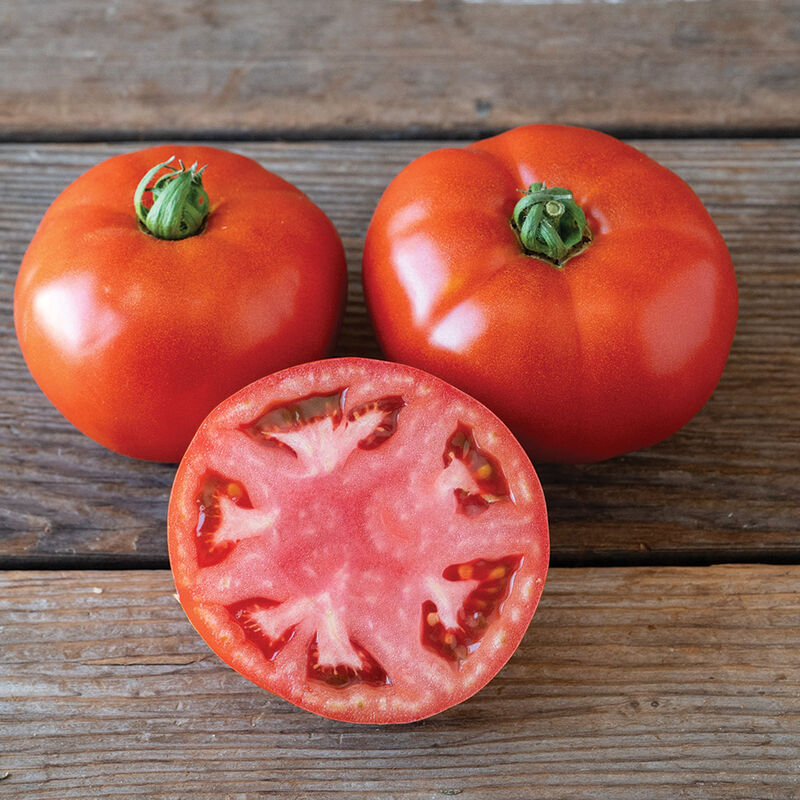 Contessa Beefsteak Tomatoes