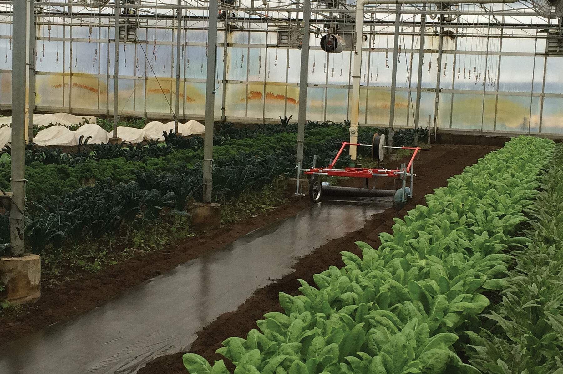 Manual Mulch Layer Mulches and Weed Barrier