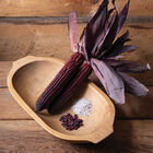 Indian Art Red Fire Dry Corn