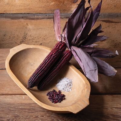 Indian Art Red Fire Dry Corn