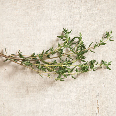 Summer Summer Thyme