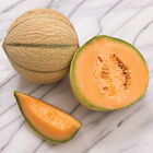 Escorial French Melons (Charentais)