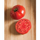Marbonne Specialty Tomatoes